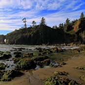Olympic NP 15
